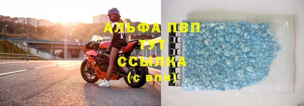 прущие грибы Балахна