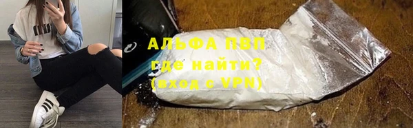 прущие грибы Балахна