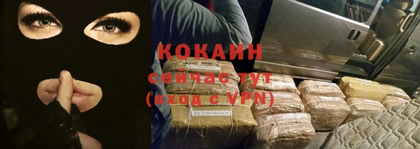 прущие грибы Балахна