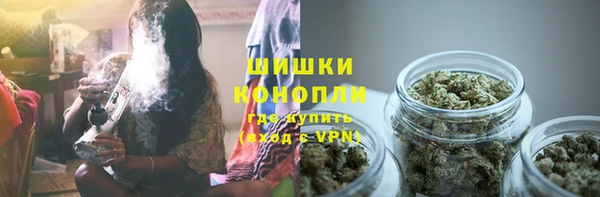 прущие грибы Балахна