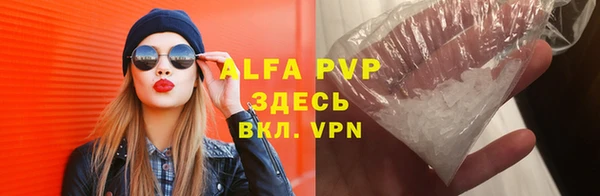 прущие грибы Балахна