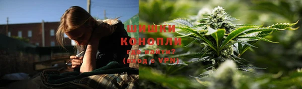 прущие грибы Балахна