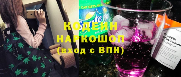 прущие грибы Балахна