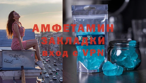 прущие грибы Балахна