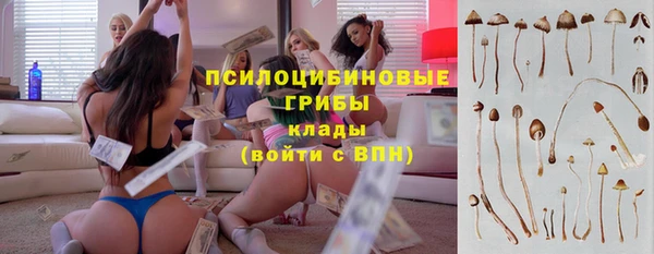 прущие грибы Балахна