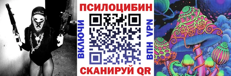 Галлюциногенные грибы Psilocybe  Сегежа 