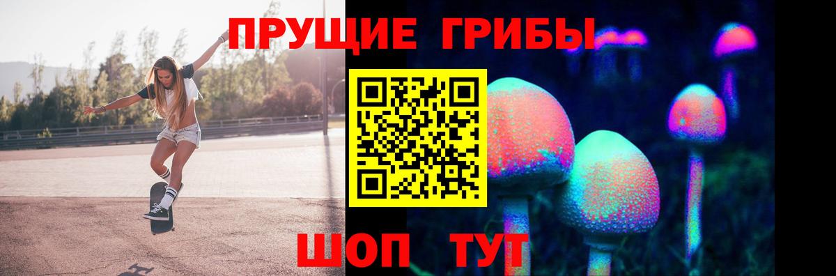 Сегежа  Галлюциногенные грибы прущие грибы  дарнет шоп  Вход с VPN 