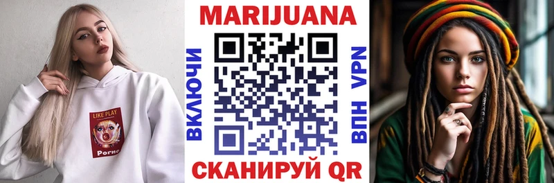 Бошки Шишки планчик Сегежа
